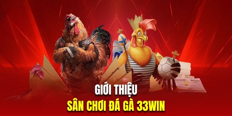 Khám phá các thể loại đá gà tại 3333WIN